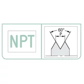Menetidomszerek: NPT